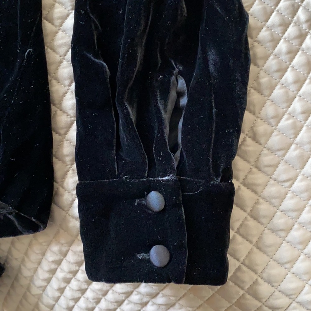 Ann Taylor Velvet and Silk shirt - Picture 5 of 7